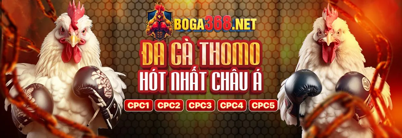 Đá gà trực tuyến sôi động tại U888B Link Vào